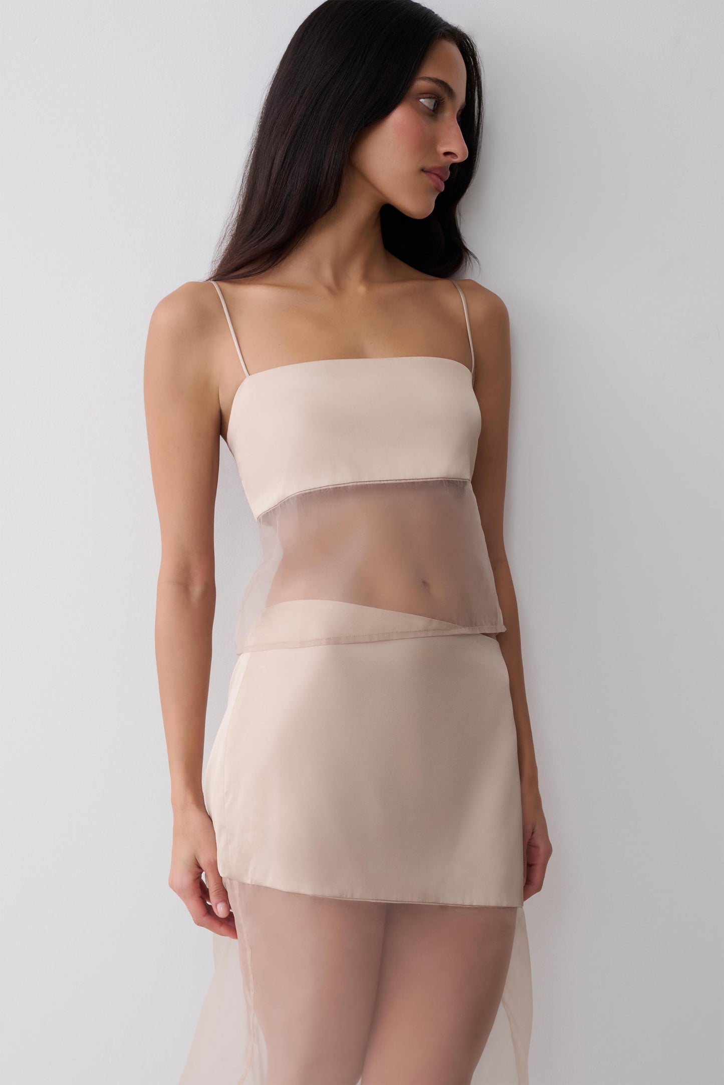 Claudia Sheer Sleeveless Top - Sand
