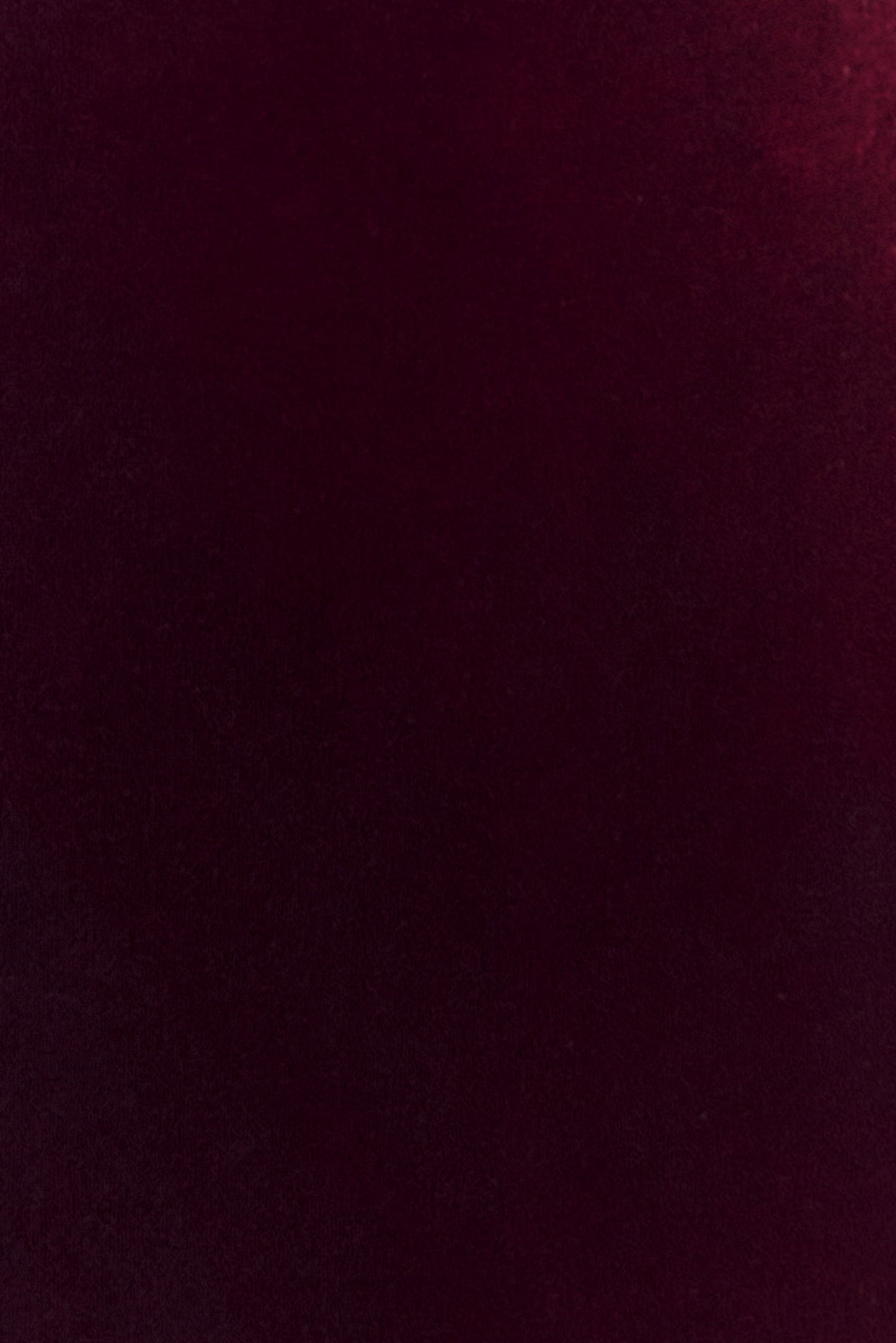 Paulina Velvet Strapless Mini Dress - Wine