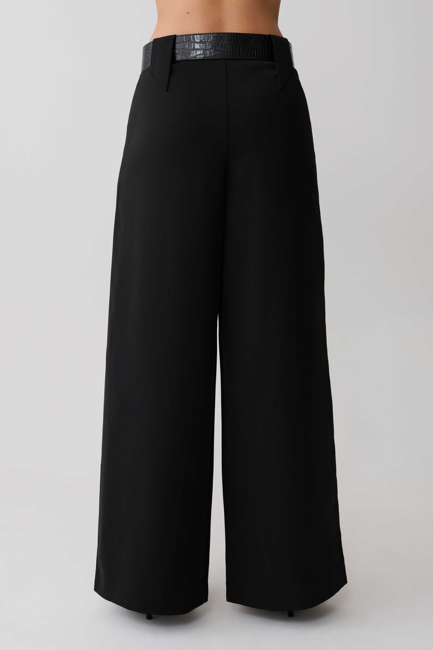 Arlo Wide Leg Suiting Trouser - Black