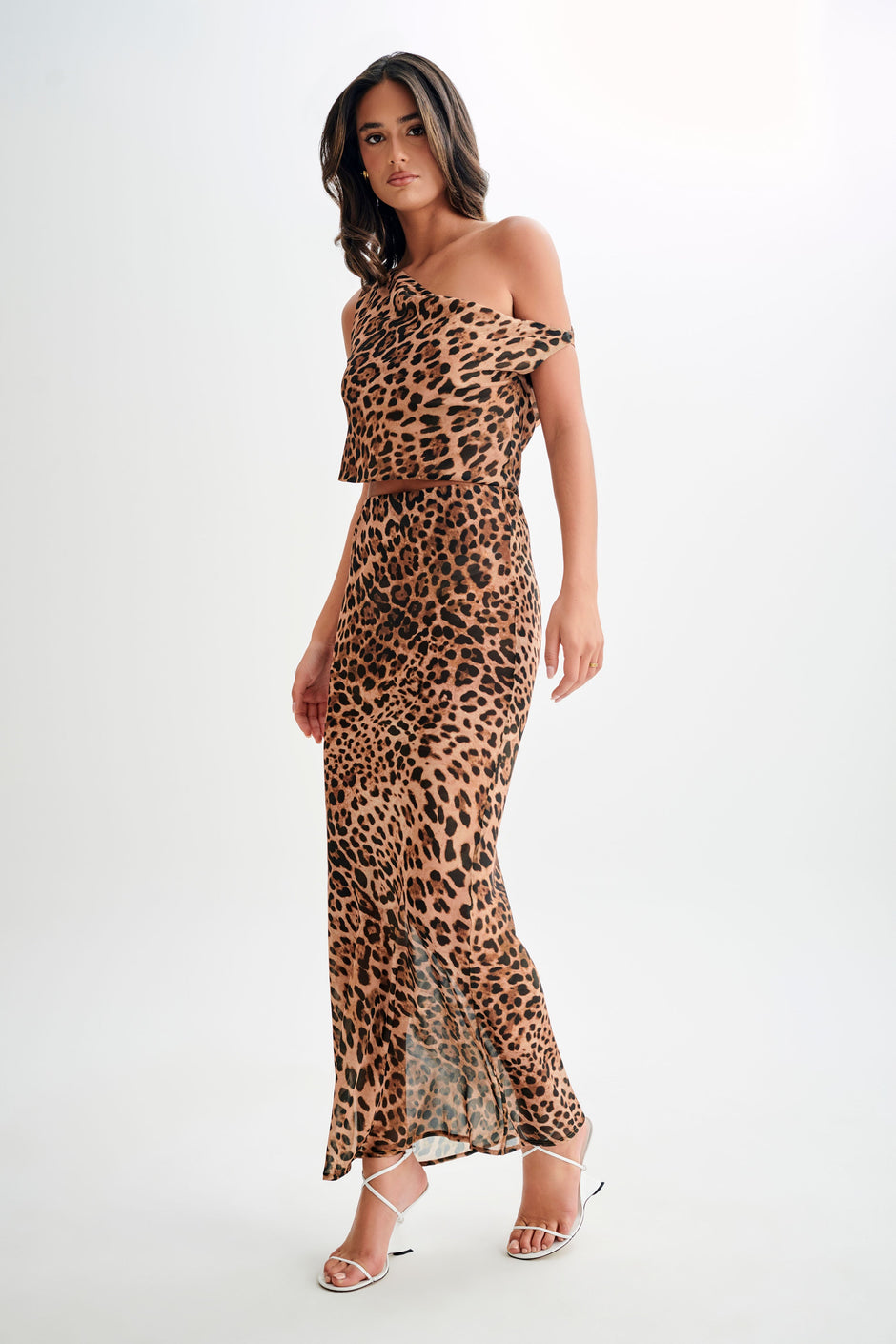 Casual Leopard Print Chiffon Maxi Skirt