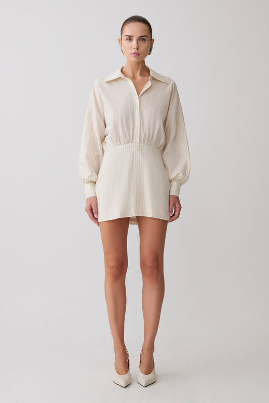 Ivy Oversize Shirt Mini Dress - Stripe