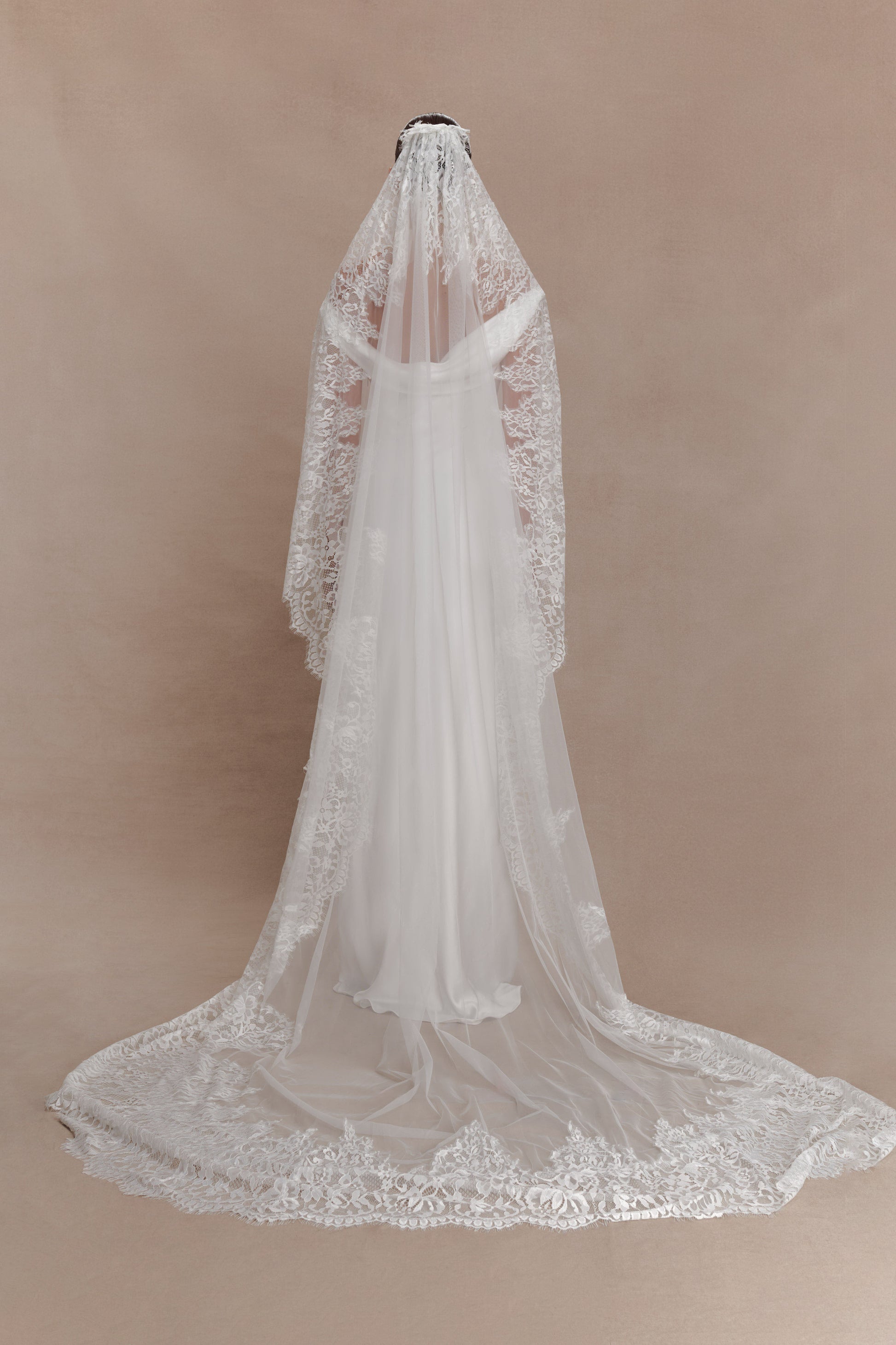 Cassia Lace Trim Veil - White #3