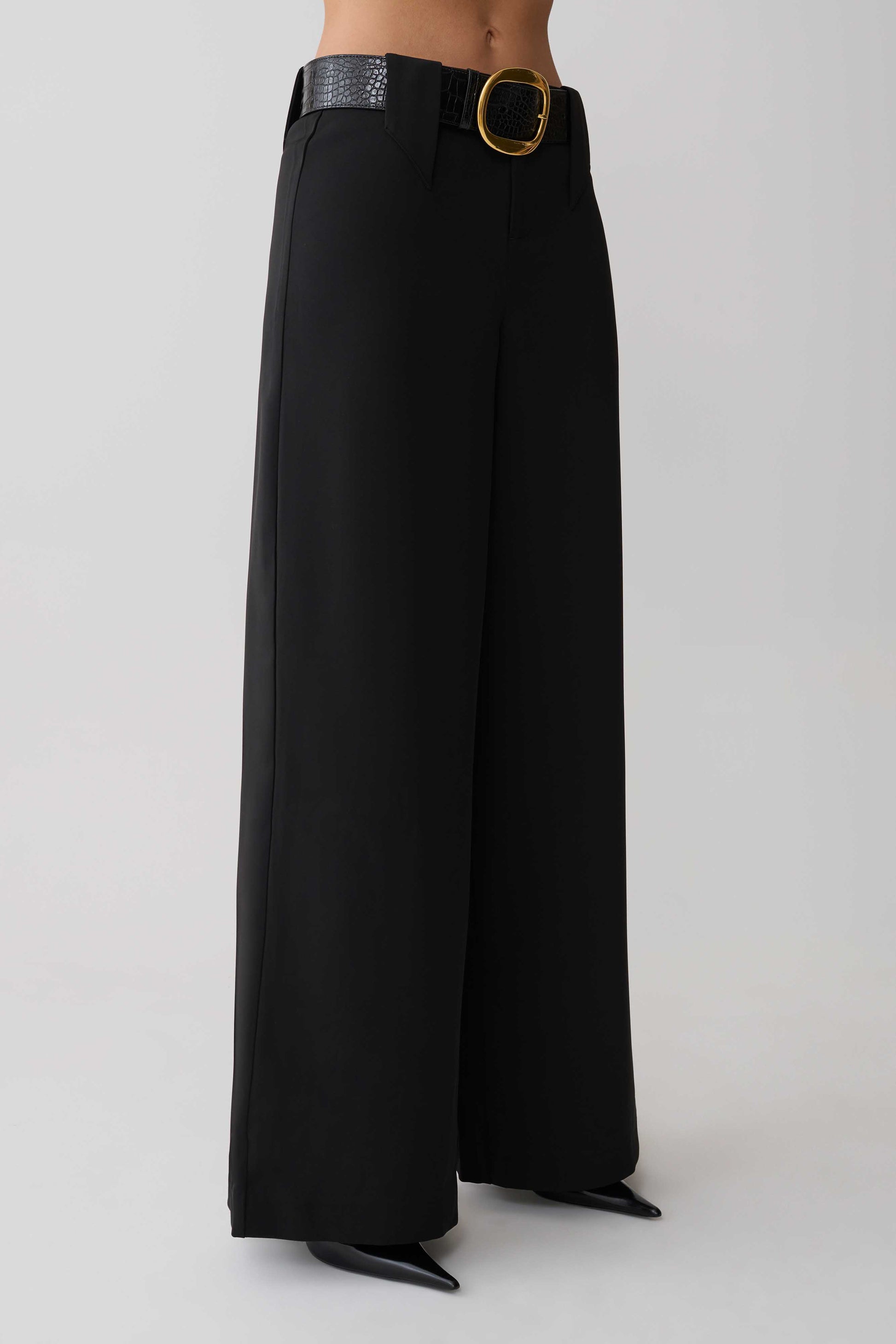 Arlo Wide Leg Suiting Trouser - Black #7