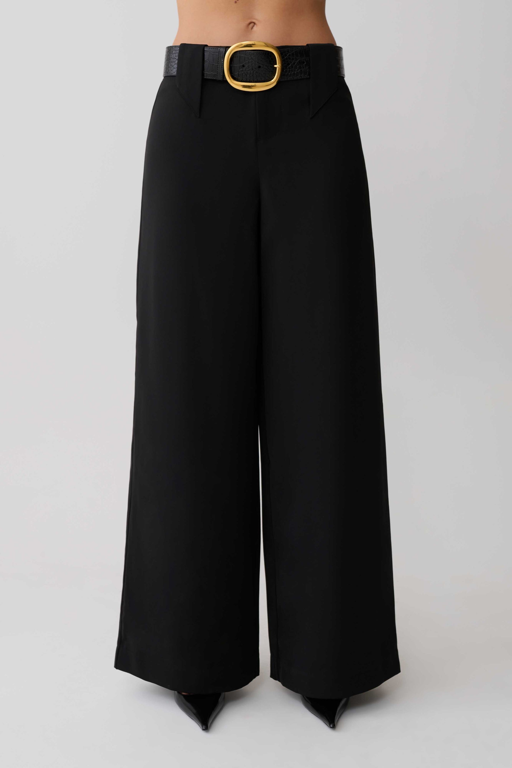 Arlo Wide Leg Suiting Trouser - Black #5