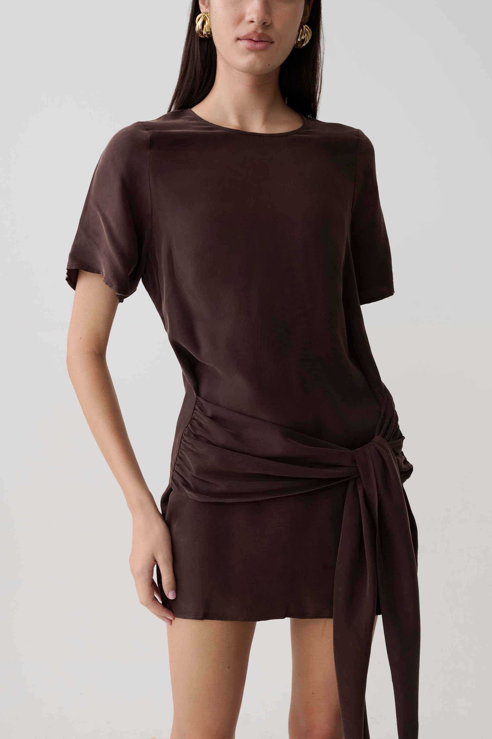 Felicity Short Sleeve Dress With Waist Tie - Dark Chocolate #6