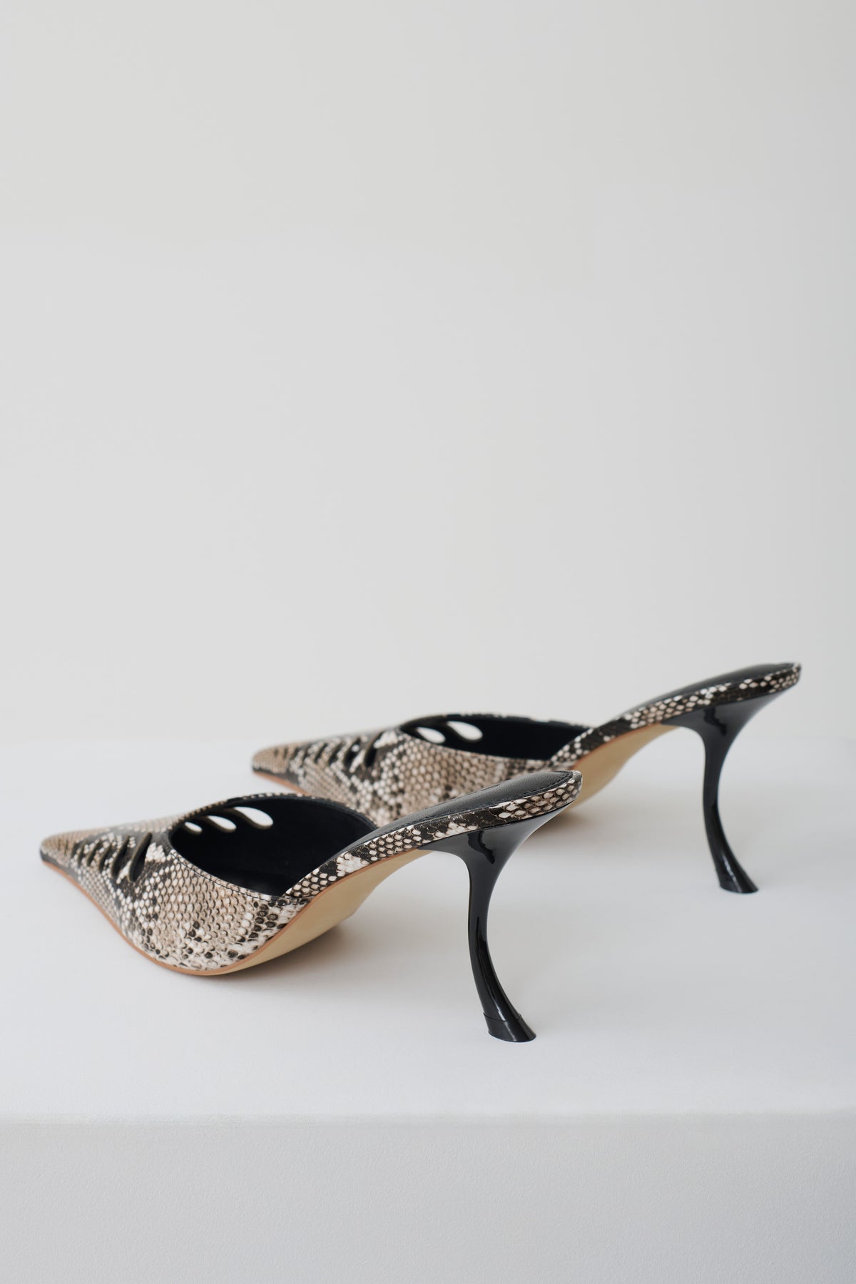 Maddi Pointed Heel - Neutral Snake Print #2