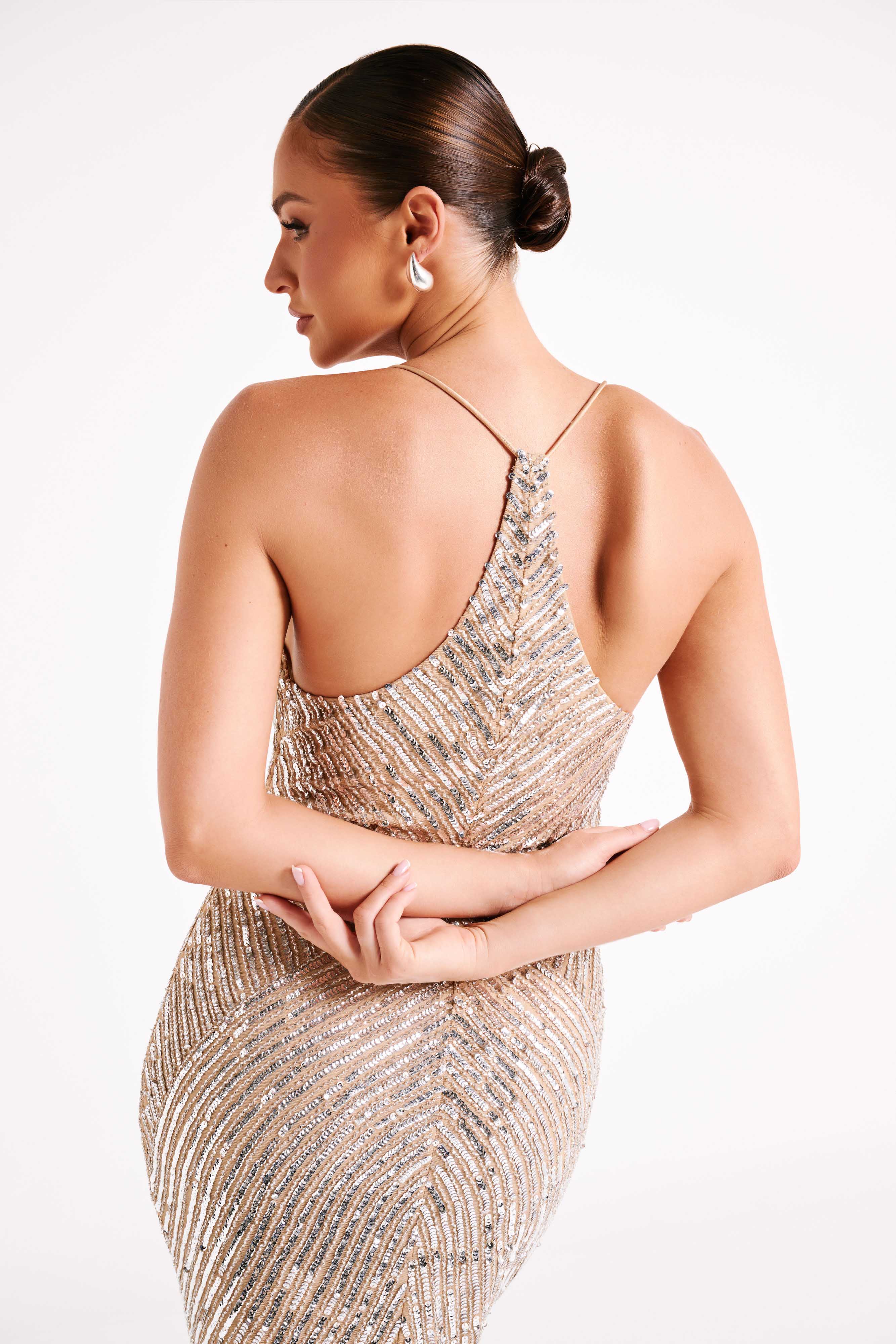 Tierra Sequin Maxi Dress Silver MESHKI